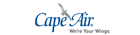 airline logotype